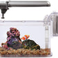 KollerCraft Deco Acuario Kit, 2 galones