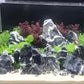 Seiryu Stone Natural Stone Rocks Fish Tank Decor Rocks for Aquariums Landscaping Model Tank Decoration Aquarium Miniature -20Lb (2-8 inch)