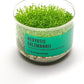 Ultum Nature Systems Hedyotis Salzmannii Tissue Culture Live Plant for Aquarium, Freshwater Fish Tank, Aquascaping - 100% Snail Free in Vitro