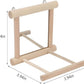 Hypeety Bird Parrot Mirror Toy Swing Hanging with Perch for Parrot Parakeet Budgies Cockatiel Conure Finch Lovebird (D)