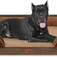 Comfort Expression XXL Orthopedic Dog Bed for Extra Large Dogs, Washable Dogs Sofa Bed, Waterproof Orthopedic Foam Dog Beds with Removable Cover & Non-Slip Bottom(XX-Large,Brown)