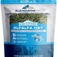 Blue Mountain Hay | Fresh Alfalfa Hay (40 Ounce) | High Leaf Retention | Nutritious High-Altitude Hay Pet Food for Rabbits, Guinea Pigs, Chinchillas, Hamsters, and Other Small Pets