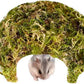 Coconut Hamster Hideout Hamster House Gerbil Cage for Small Animals with a Bundle of Apple Sticks a Carrot (Green)