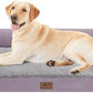 Large Dog Bed Orthopedic Washable, Orthopedic Dog Beds with Egg Foam Support, Removable, Machine Washable Plush Cover and Non-Slip Bottom for XXLarge Extra Large Dogs - Purple Dogs Bed