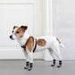 BEAUTYZOO Anti-Slip Dog Socks,Dog Shoes for Hot/Cold Pavement,Paw Protectors with Grips 3 Pairs for Puppy Small Medium Large Senior Old Dogs,Dog Socks to Prevent Licking and Hardwood Floor Protection