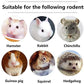 600g Guinea Pig and Rabbit Chew Toys - Sweet Bamboo and Timothy Apple Sticks for Healthy Teeth and Relaxation - Natural and Safe Guinea Pig Chew Toys