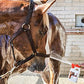 UltraCruz® Equine Foaming Shampoo, 5 Gallon