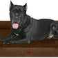 Comfort Expression XXL Orthopedic Dog Beds Waterproof, Orthopedic Foam Dogs Beds for Extra Large Dogs, Washable Dog Sofa Bed with Removable Cover & Non-Slip Bottom(XX-Large,Chocolate Brown)