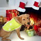 Dog Reflective Vest - Comfortable Jacket Safety Hunting, High Visibility for Dogs with Elastic Straps and Clasp Closure-Yellow, Large
