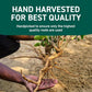 HANDPICK Ashwagandha Root Powder (397g/14oz) No Fillers, No Additives | Finest Grade A Root Powder - Withania Somnifera | Non-GMO & Raw from India
