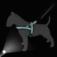 Didog No Pull Dog Harness with Breathable Mesh Padded, Full Reflective & Quick Fit Adjustable Vest Harness, Easy for Training Walking for Small & Medium and Large Dogs (Green, L:Chest 26-32")