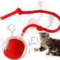 Interactive Pet Chase Toy - Rechargeable, Motion Ball, Self-Moving Kitten Toy for Indoor Interactive Playing, Smart Cat Rolling Ball