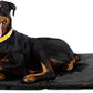 K9 Ballistics Tough Ripstop Dog Crate Pad - Durable & Machine Washable with Non-Skid Bottom and 120-Day Warranty, Fits 48" Wire Crates - 47"x29" Obsidian Black