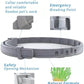 Flea Collar for Cats, Flea and Tick Collars for Cats and Kittens, 8 Month Protection, Gray, 1 Pack CAT