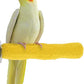 Comfort Grip Safety Perch for Bird Cages - Pedicure Perch for Birds to Keep Nails and Beaks in Top Condition - Safe Easy to Install Bird Cage Accessories - X-Small 4.5"