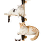 MEWOOFUN Cat Climbing Shelves Tree, 4-Levels Over Door Cat Climber for Jumping, Stable Cat Stairs Hammock for Kittens & Adult Cats (Wooden-65 H x 26.8” L x 13.8” W)
