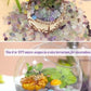 YATOJUZI 2lb Fluorite Aquarium Gravel Rocks Natural Tumbled Healing Crystal Chips Bulk Gemstones Crushed Stones for Fountain Vase Filler Planters Decorative Fish Tank Potted Reiki Energy Balancing