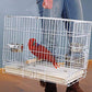 Large Portable Durable Metal Travel or Veterinary Easy Collapsable Parrot Bird Carrier Beaks Proof Carrier Cage Easy Clean Pull Out Tray Stainless Steel Feeder Bowls Natural Wooden Perch