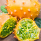 Kiwano, Orange (Cucumis metuliferus)
