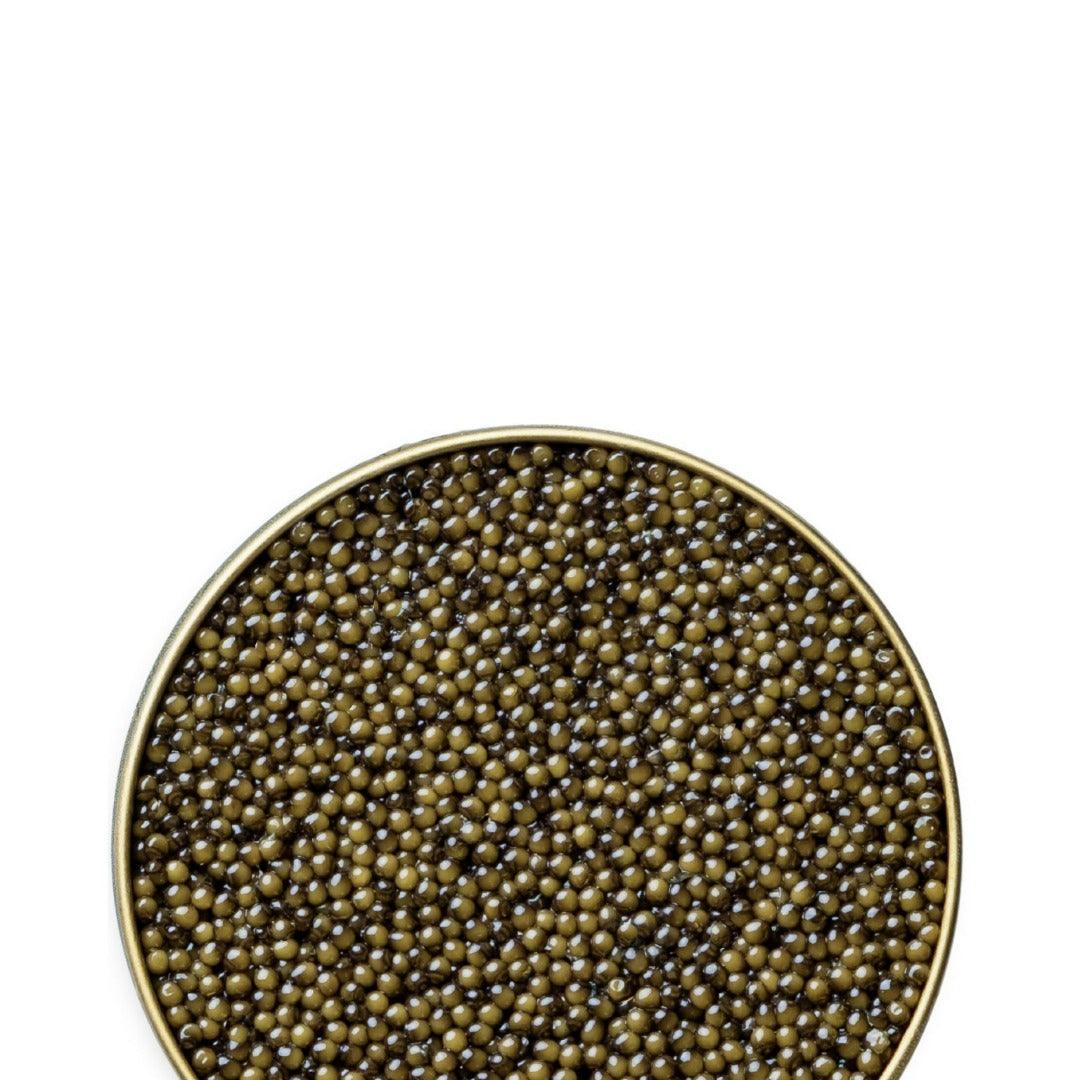 Osetra Classic Caviar