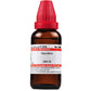 Dr. Willmar Schwabe India Theridion Dilution