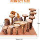 Wooden Chinchilla Platform Toy - Activity Playground Stand Ladder Hideout Set Bridge Ramps Chew Toys for Mouse, Dwarf Hamster, Gerbil, Rat, Sugar Glider, Syrian Hamster, Small Animals