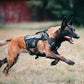 OneTigris No Pull Dog Harness for Small Dog, Mesh Design Breathable Military Dog Molle Vests with Handles, Service Dog Vest Harness for Walking Hiking Training