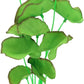 2-Pack 12 Inch Aquarium Silk Aquarium Plants, Artificial Plastic Plant for Small Tank, Goldfish, Fish Hides (Green B, 12 Inch)