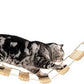 Meowoou Cat Bridge Wall Mounted, Rope Bridge for Climbing, Ladder for Indoor Cats, Cat Wall Furniture for Sleeping, Large Cats Steps Bed and Perches