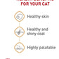 Royal Canin Hair & Skin Care Chunks in Gravy Wet Cat Food Pouch, 3 oz pouch (12-count)