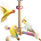 Bird Stand Perch Toy for Small & Medium Birds, 360° Rotating Natural Wooden Parrot Perchs for Bird Cages, Interactive Spinning Toy fo Parrot Parakeets Cockatiels Lovebirds Conures Finches Budgies