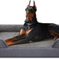 INVENHO Orthopedic Extra Large Dog Bed, XXL Waterproof Dog Sofa, Egg-Crate Foam Couch with Washable Removable Cover, Waterproof Lining and Nonskid Bottom