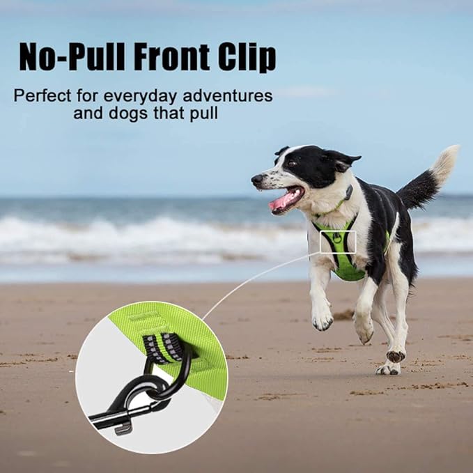 PoyPet No Pull Dog Harness, Reflective Comfortable Vest Harness with Front & Back 2 Leash Attachments and Easy Control Handle Adjustable Soft Padded Pet Vest for Small to Large Dogs (Green,L)