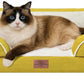 Comfort Expression Small Dog Beds Waterproof Cat Beds Orthopedic Foam Sofa Beds for Small Dogs Comfy Pet Bed with Washable Removable Cover & Non-Slip Bottom(XX-Small,Spicy Mustard)