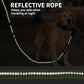 Heavy Duty Tactical Bungee Dog Leash, 4-6FT Shock Absorbing Tactical Dog Leash with 2 Padded Handles, Metal Carabiner Clip, Car Seatbelt, Reflective for Medium Large Dogs (ArmyGreen)