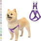 PUPTECK No Pull Dog Harness Soft Adjustable Basic Nylon Step in Puppy Vest Outdoor Walking with ID Tag X-Small