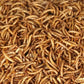 10lbs Dried Mealworms - Premium Non-GMO Chicken Feed, Nutritious High Protein Meal Worms- Food and Treats for Laying Hens, Wild Birds, Ducks, Chicken