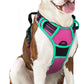 rabbitgoo Dog Harness No Pull with 2 Leash Clips, Adjustable Soft Padded, Reflective Oxford No Choke Pet Vest with Easy Control Handle for Large Dogs, Hot Pink & Turquoise, L