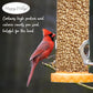 Shelled Peanuts Seeds Wild Bird Food - 5 Pounds I No Grow Seed I Bird Seed for Wild Birds