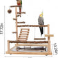 Bird Playground, Parrot Perch Stand, Natural Wood Bird Play Stands for Cockatiel Wood Perch Gym Playpen Ladder with Removable Tray and 2 Stainless Steel Cups, Bird Cage Accessories, Parrot Swing