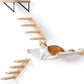 Cat Wall Shelves with 1 Floating Fabric Hammock, 2 Ladders with 4 Steps Each & 1 Flat Cat Shelf, Wall Mounted Bed Furniture & Climber, Indoor Playground