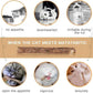 20 PCS Cat Catnip Sticks Natural Matatabi Silvervine Sticks - Cleaning Teeth Molar Tools Kitten Chew Toy Natural Catnip Cats Toy