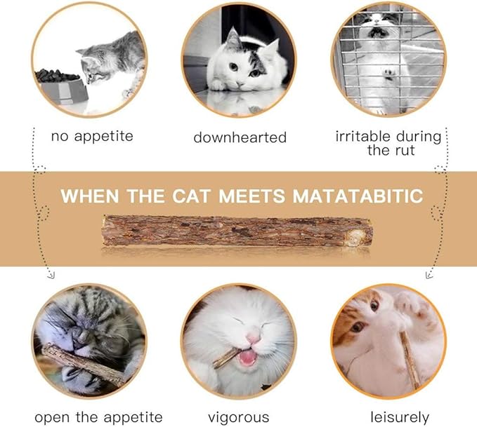 10 PCS Cat Catnip Sticks, Natural Matatabi Silvervine Sticks - Cleaning Teeth Molar Tools Kitten Chew Toy Natural Catnip Cats Toy