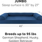 Furhaven Orthopedic Dog Bed for Large Dogs w/ Removable Bolsters & Washable Cover, For Dogs Up to 95 lbs - Quilted Sofa - Navy (Blue), Jumbo/XL