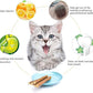 20 PCS Cat Catnip Sticks Natural Matatabi Silvervine Sticks - Cleaning Teeth Molar Tools Kitten Chew Toy Natural Catnip Cats Toy