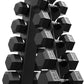 PAPABABE Hex Dumbbell Sets with Rack, 60-550lb Rubber Coated Dumbbell Weight Set and Storage Rack, Multiple Options Hand Weights for Strength Training