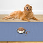 48" x 32" Largest Pet Food Mat, XXXL Silicone Dog Mats for Food and Water, Nonslip Pet Feeding Mats for Floors,Dog Cat Bowl Mat with Raised Edges, Lake Blue