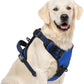 PUPTECK No Pull Dog Harness for Large, Adjustable Reflective Dog Harness with Handle Easy Control, Comfortable Soft Padded Pet Vest Harness for Extra Large Dogs, Blue XL