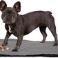 K9 Ballistics Tough Ripstop Dog Crate Pad - Durable & Machine Washable with Non-Skid Bottom and 120-Day Warranty, Fits 30" Wire Crates - Small, Light Gray Velvet