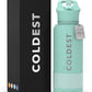Coldest Insulated Water Bottle with Straw Lid - Stainless Steel Metal Insulated Bottle for Men & Women (Oceanic Green, 32 oz)